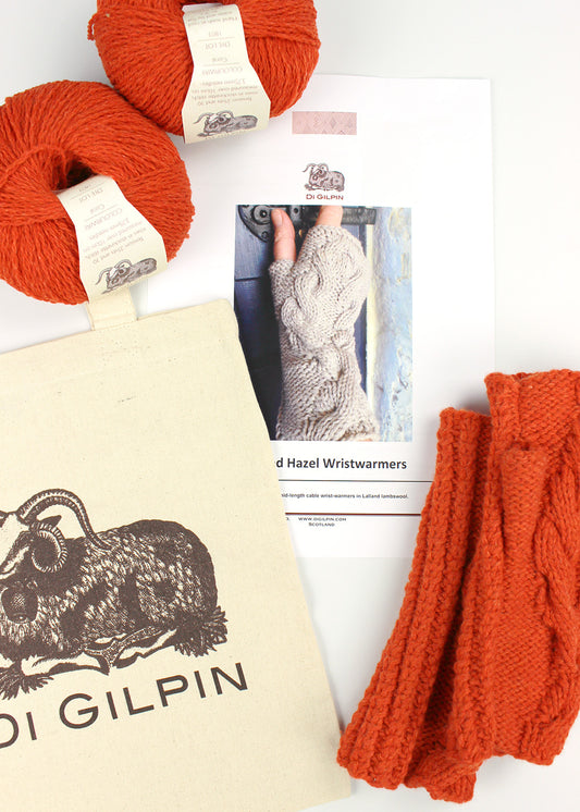 Twisted Hazel knitting pattern with wool, bag and sample. Scottish Textile Showcase.