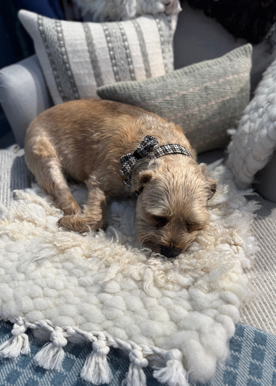 Hand woven fleece rug in cheviot and Icelandic sheep's wool.