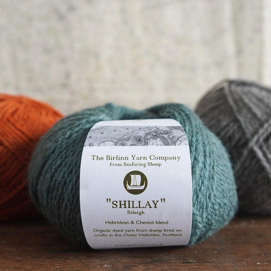 Birlinn yarn in shade shillay turquoise