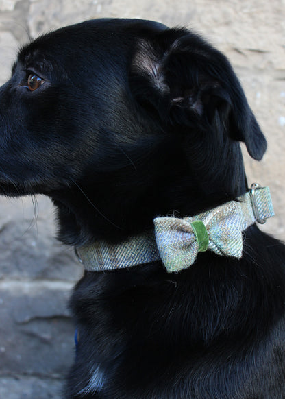 Dog Bow Tie Small