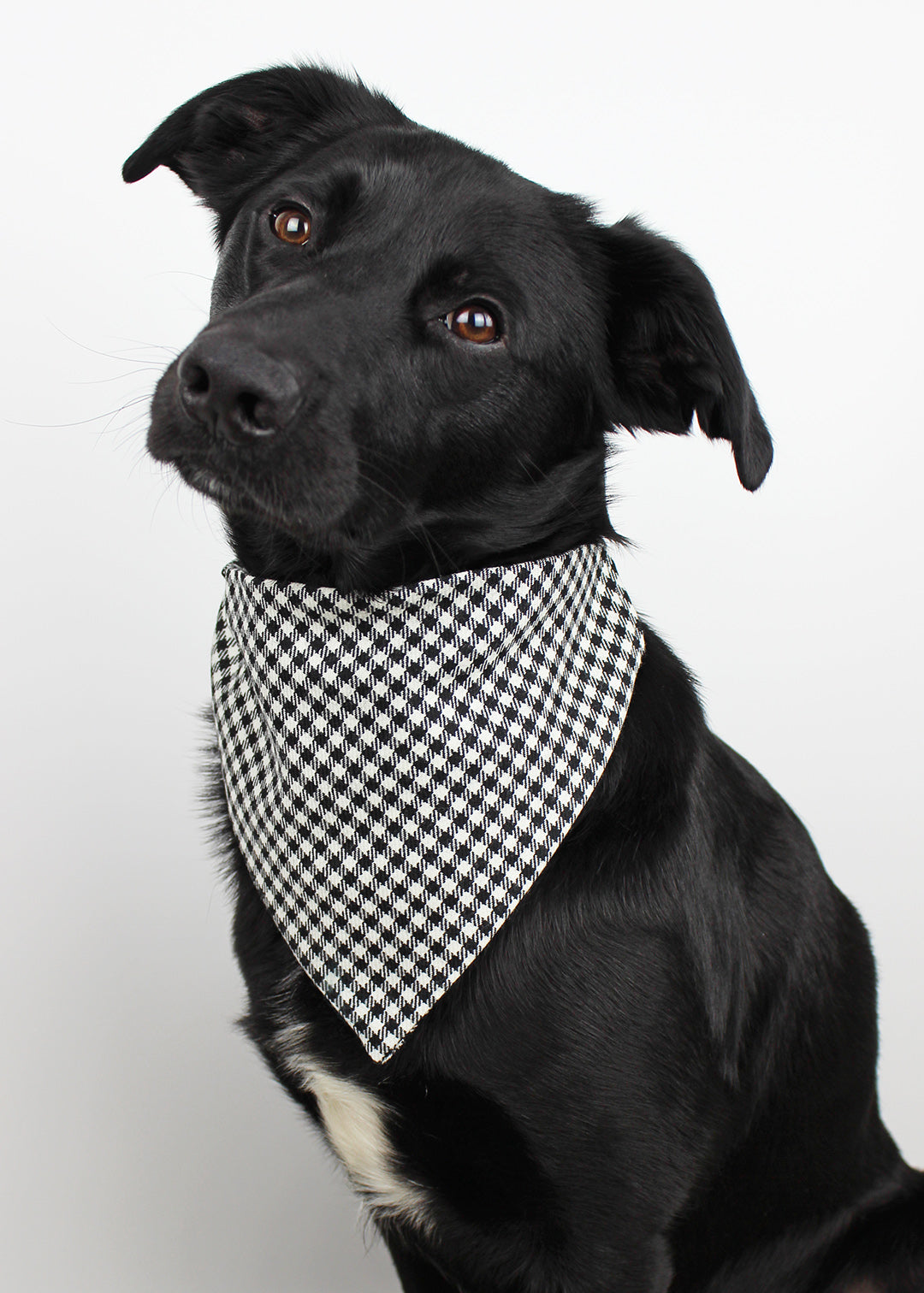 Dog bandana made from the classic Shepherds Check, the perfect stylish accessory for your pup