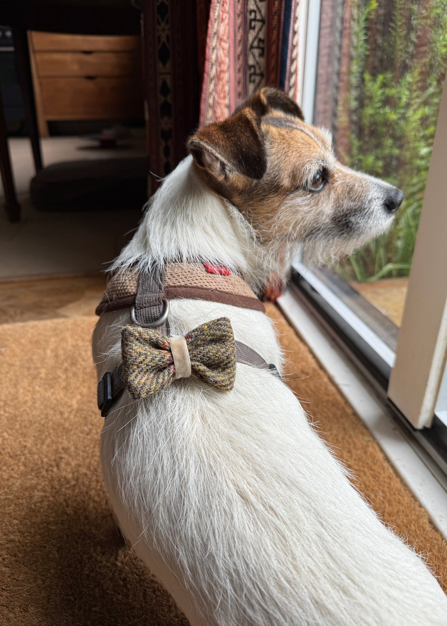 Dog Bow Tie Brown Herringbone