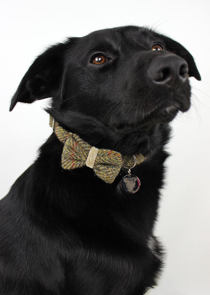 Dog Bow Tie Small