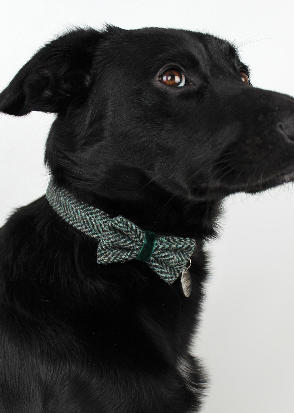 Dog Bow Tie Mint Herringbone