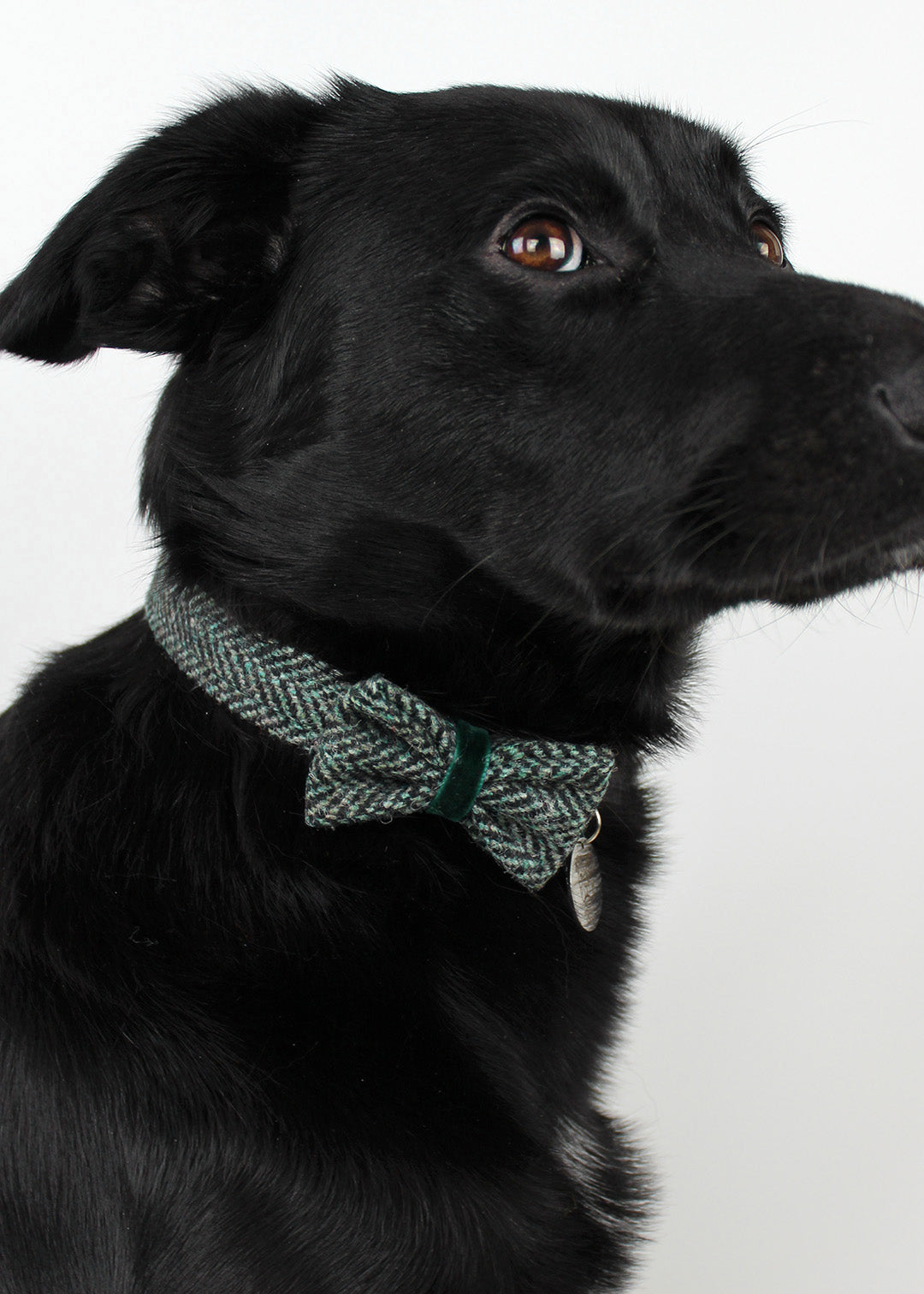 Dog Bow Tie Mint Herringbone