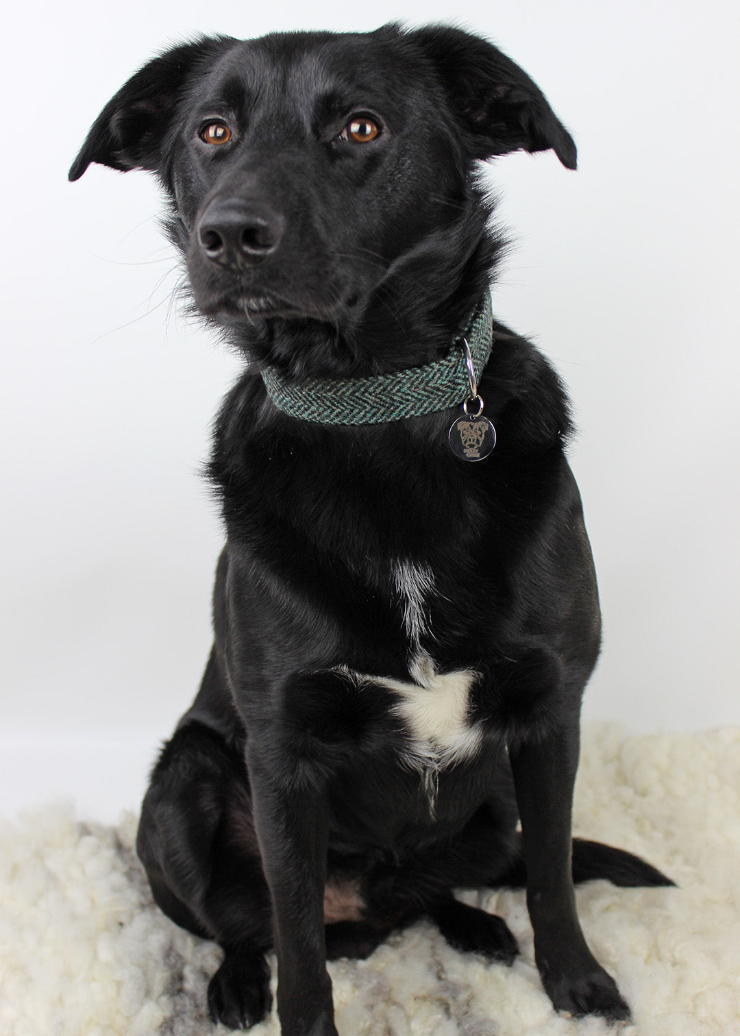 Dog Collar Mint Herringbone