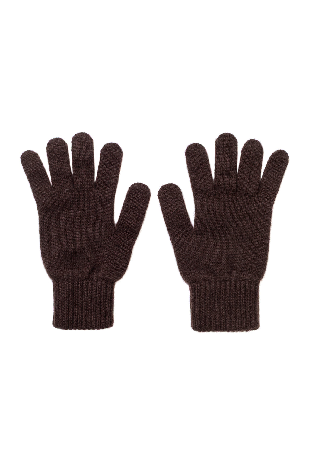 Pair of dark brown gloves on a white background