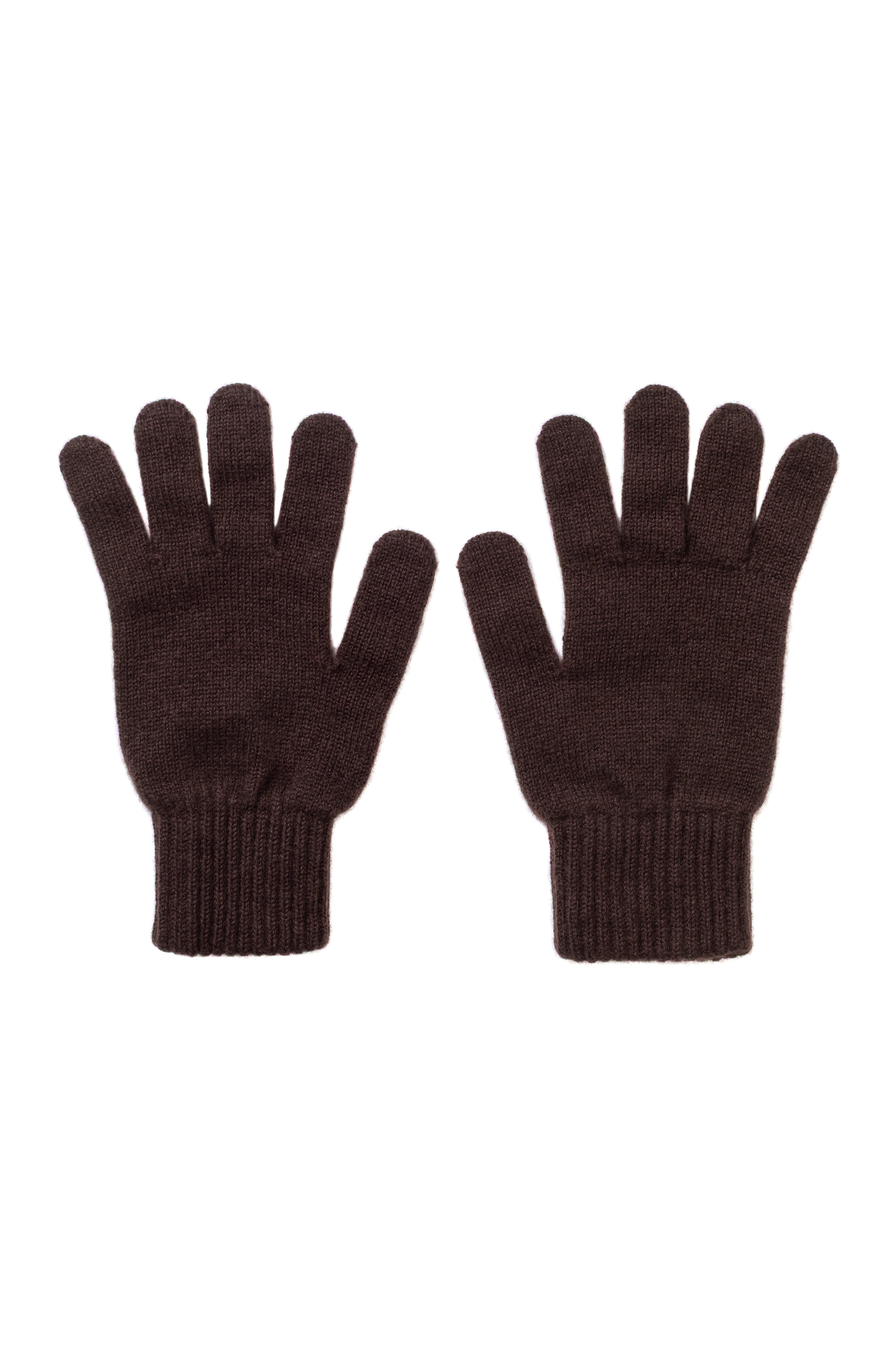 Pair of dark brown gloves on a white background