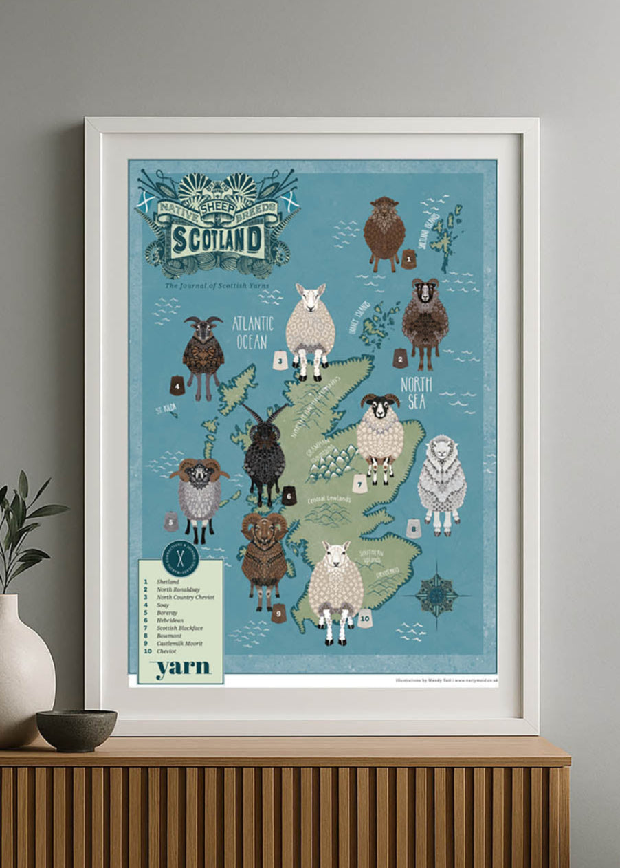 Scottish Native Sheep Map A3 Print