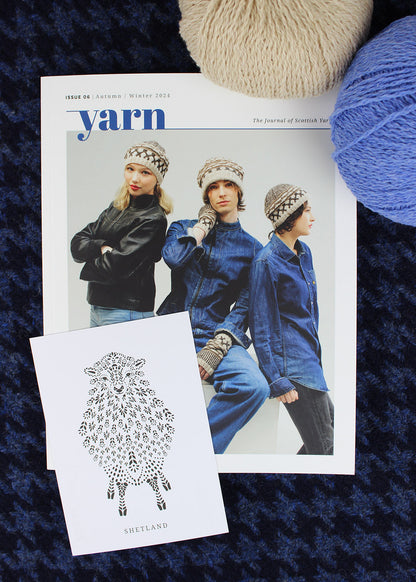 Yarn journal 6 photographed with wool. Scottish Textiles Showcase.