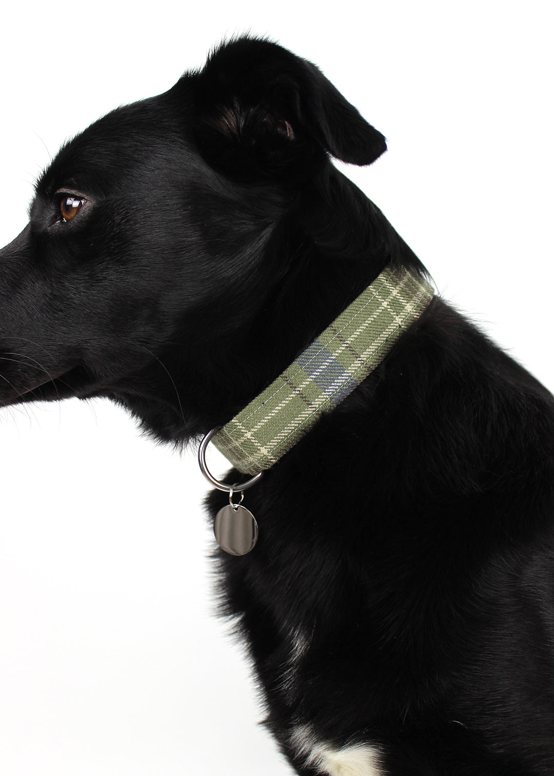 Dog Collar Khaki Tartan