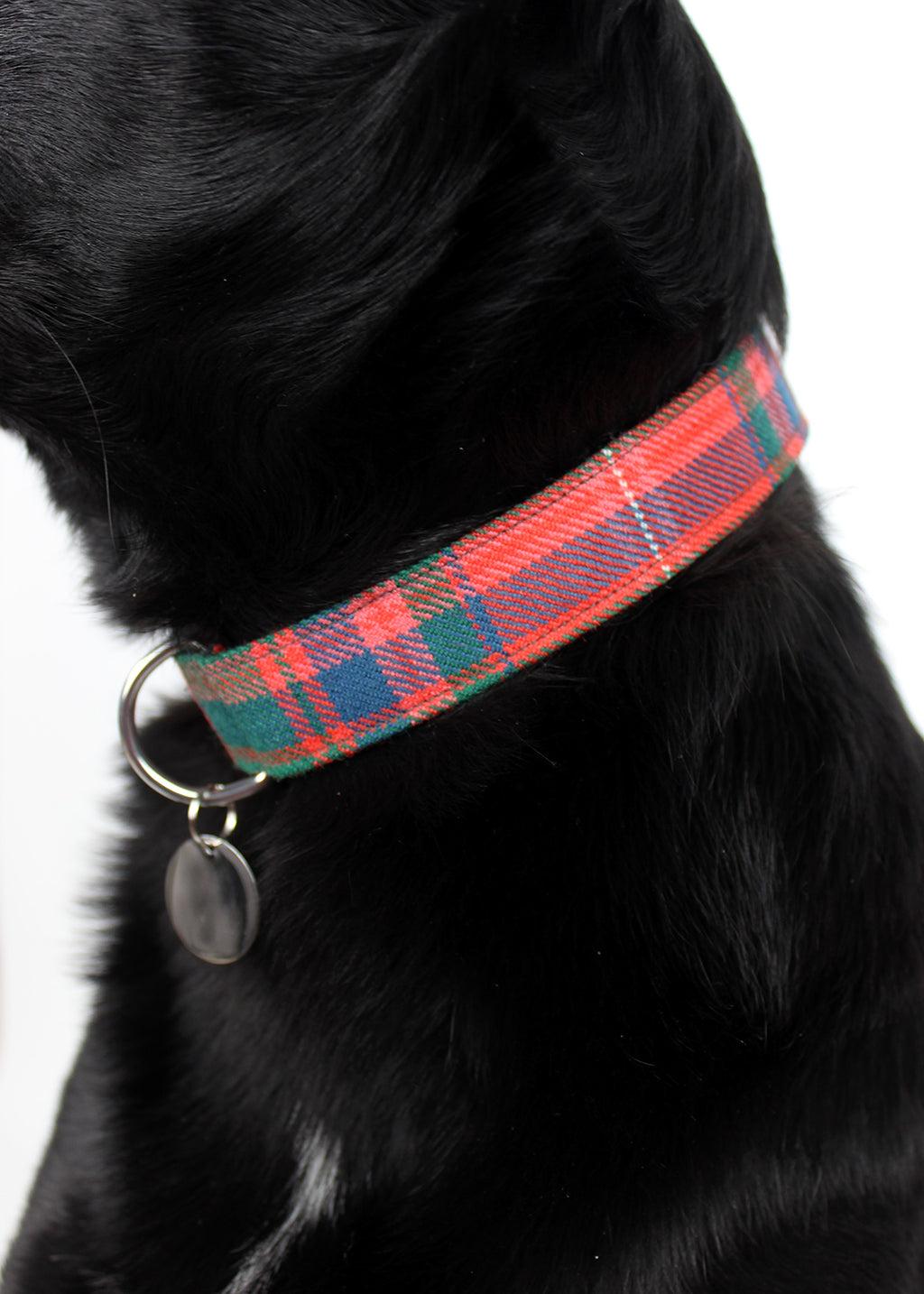 Dog Collar Red Tartan