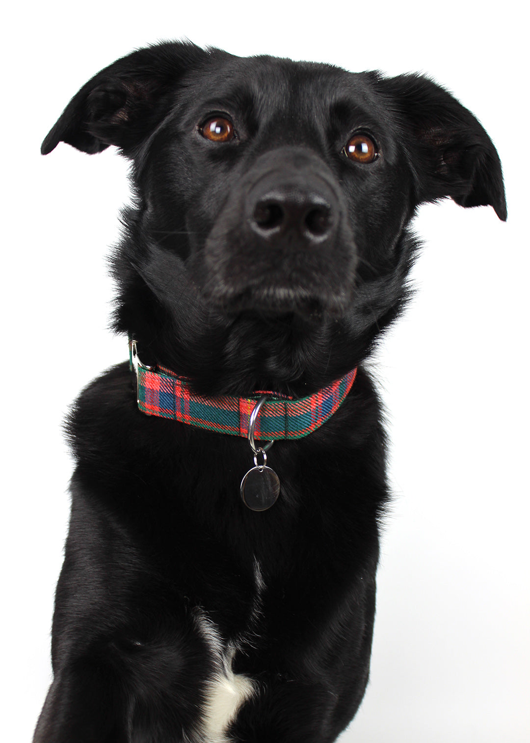 Dog Collar Red Tartan