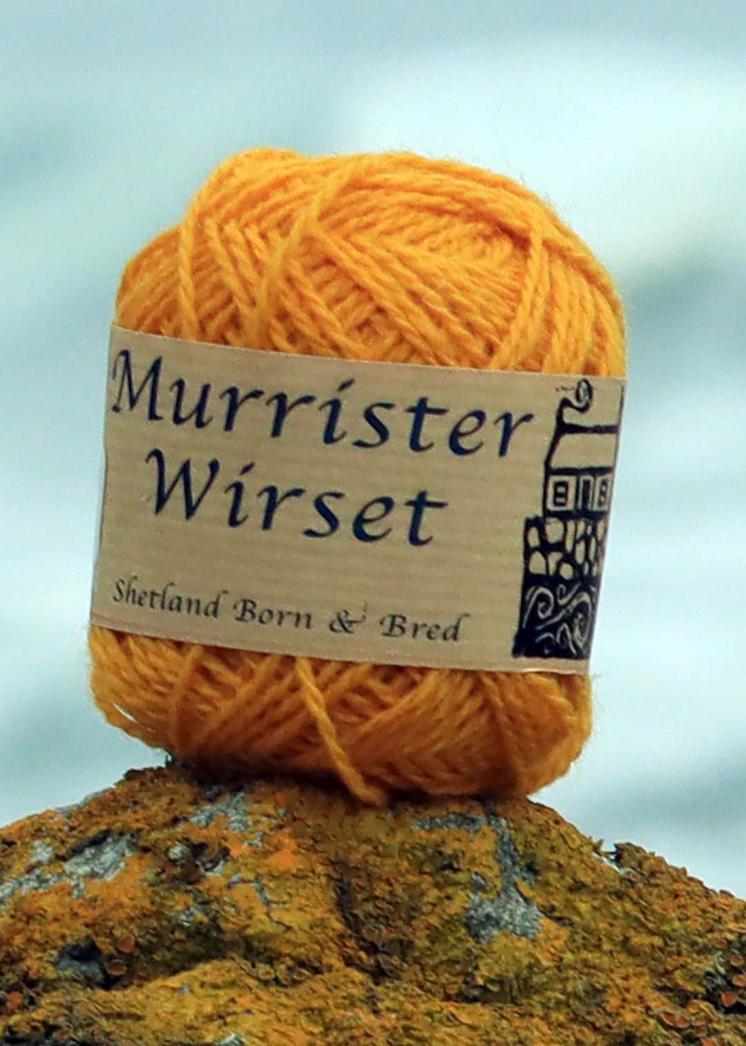 Shetland Buggiflooer Hat Knitting Kit