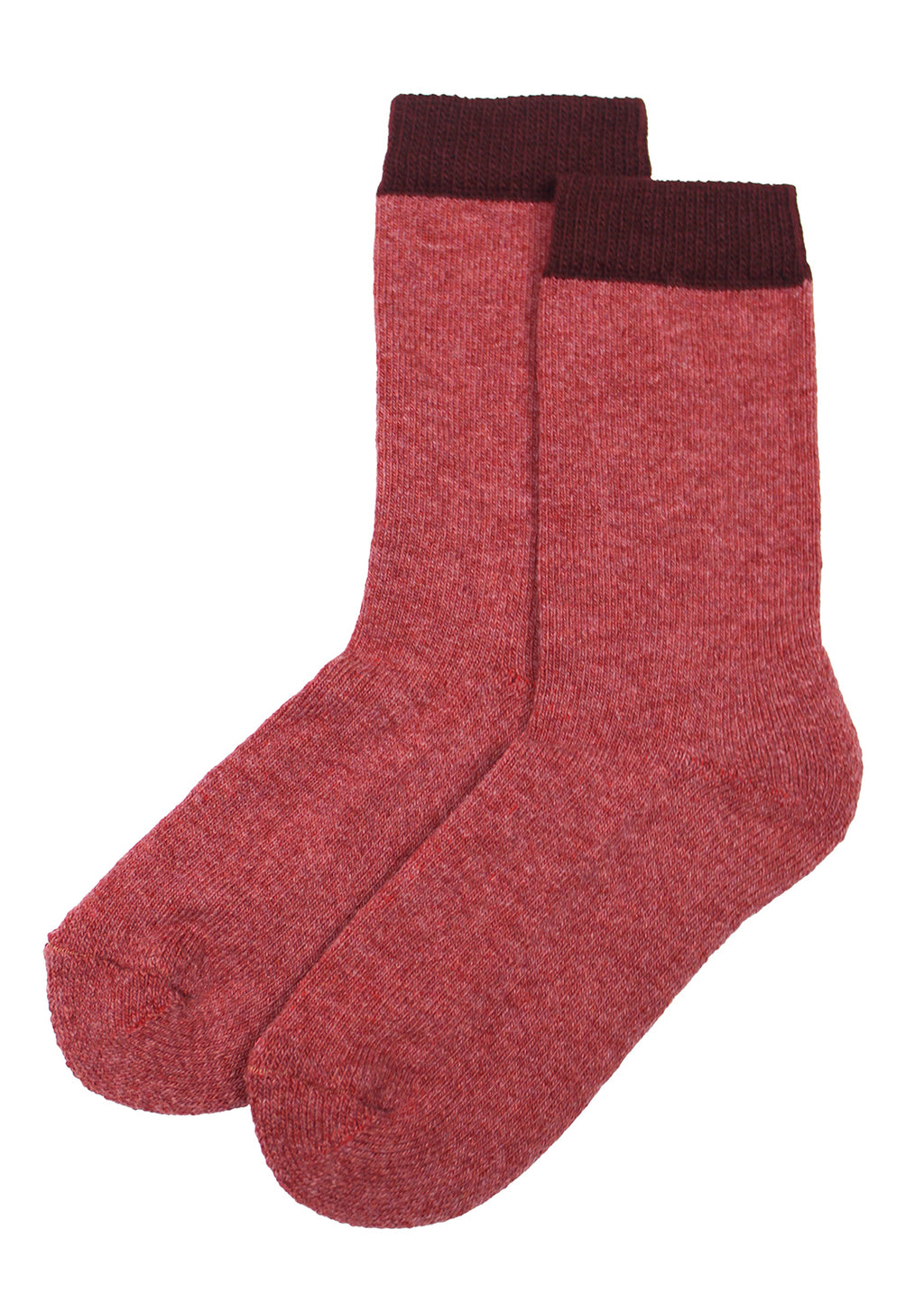 Raspberry red lambswool socks with a burgundy trim.