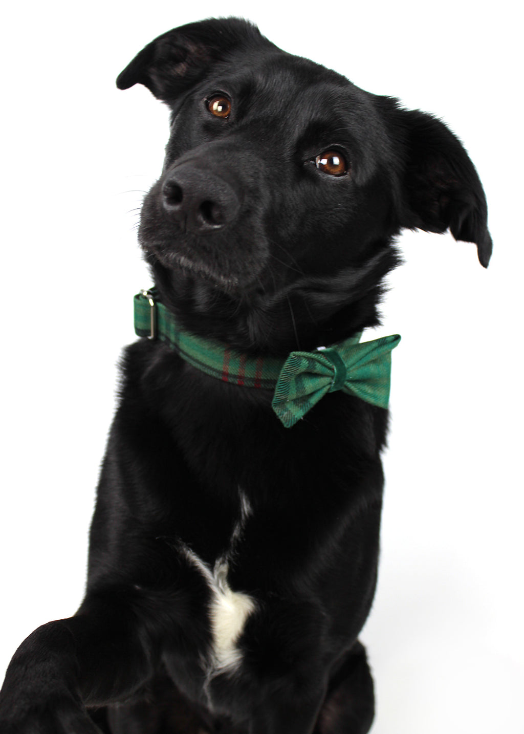 Dog Bow Tie Green Tartan