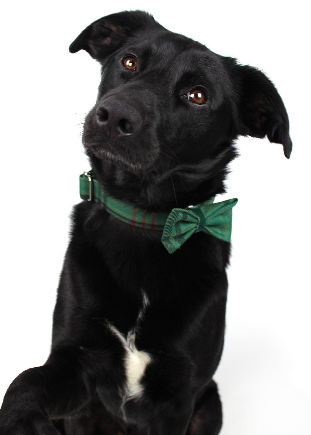 Dog Bow Tie Green Tartan