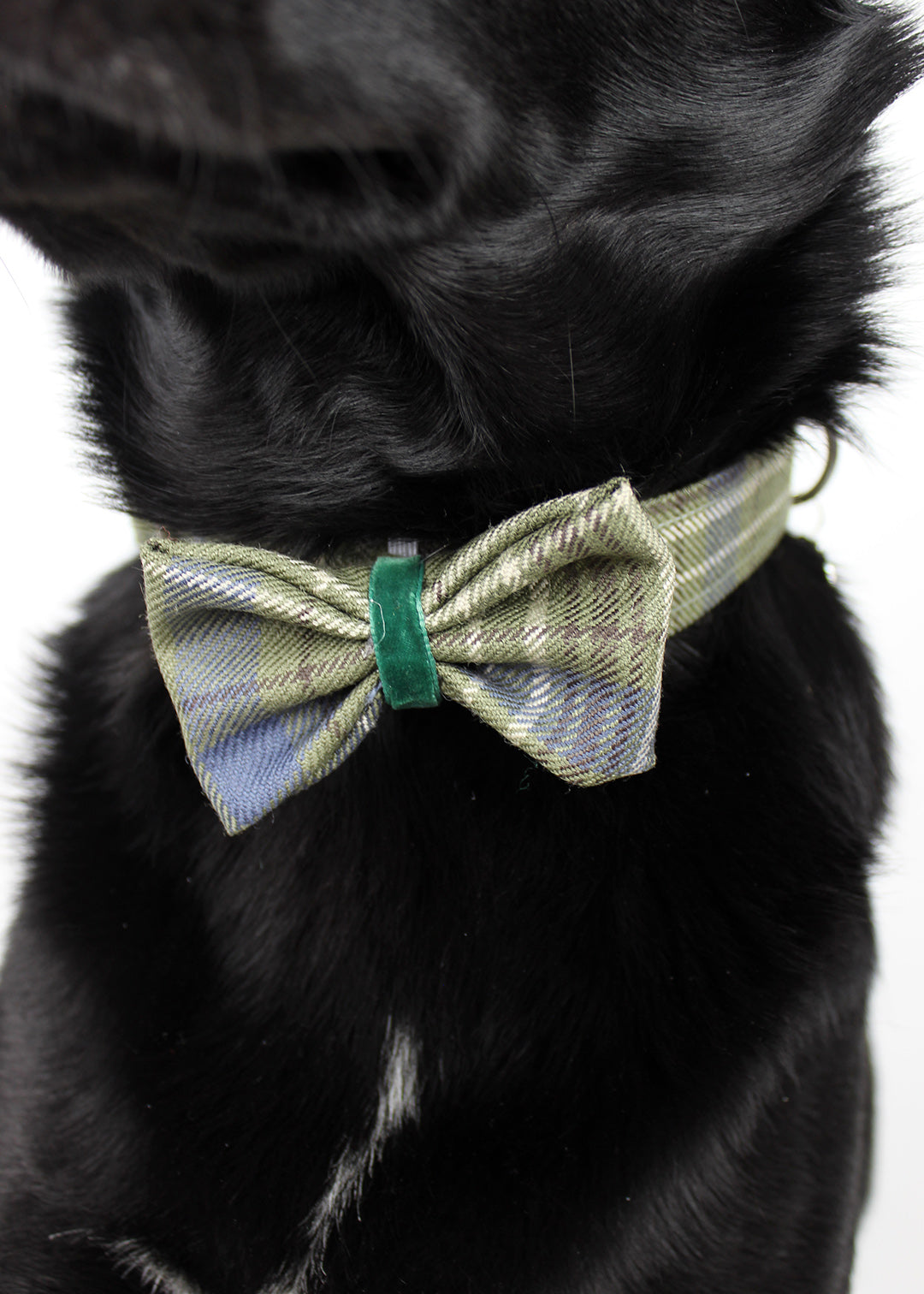 Dog Bow Tie Khaki Tartan