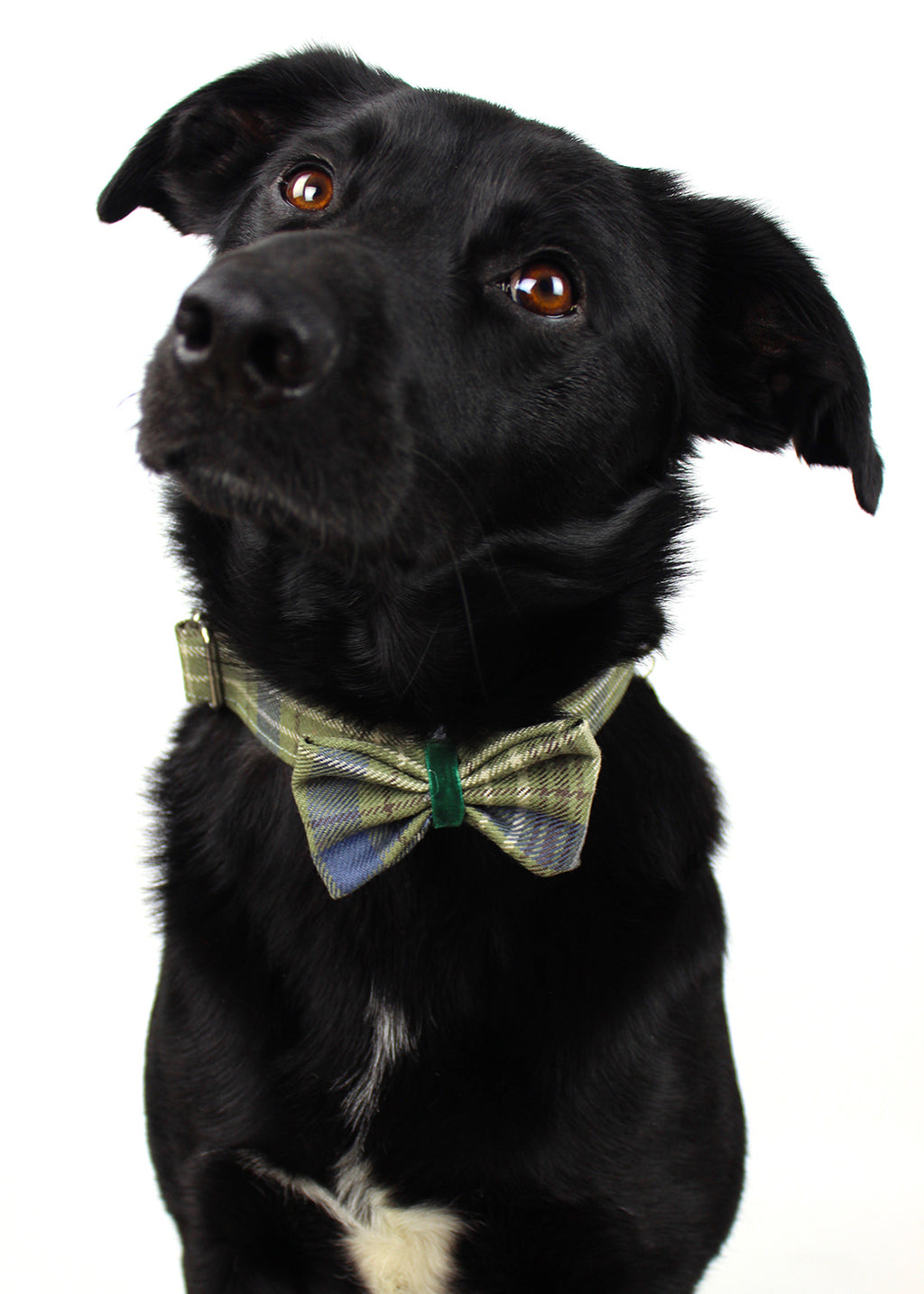 Dog Bow Tie Khaki Tartan