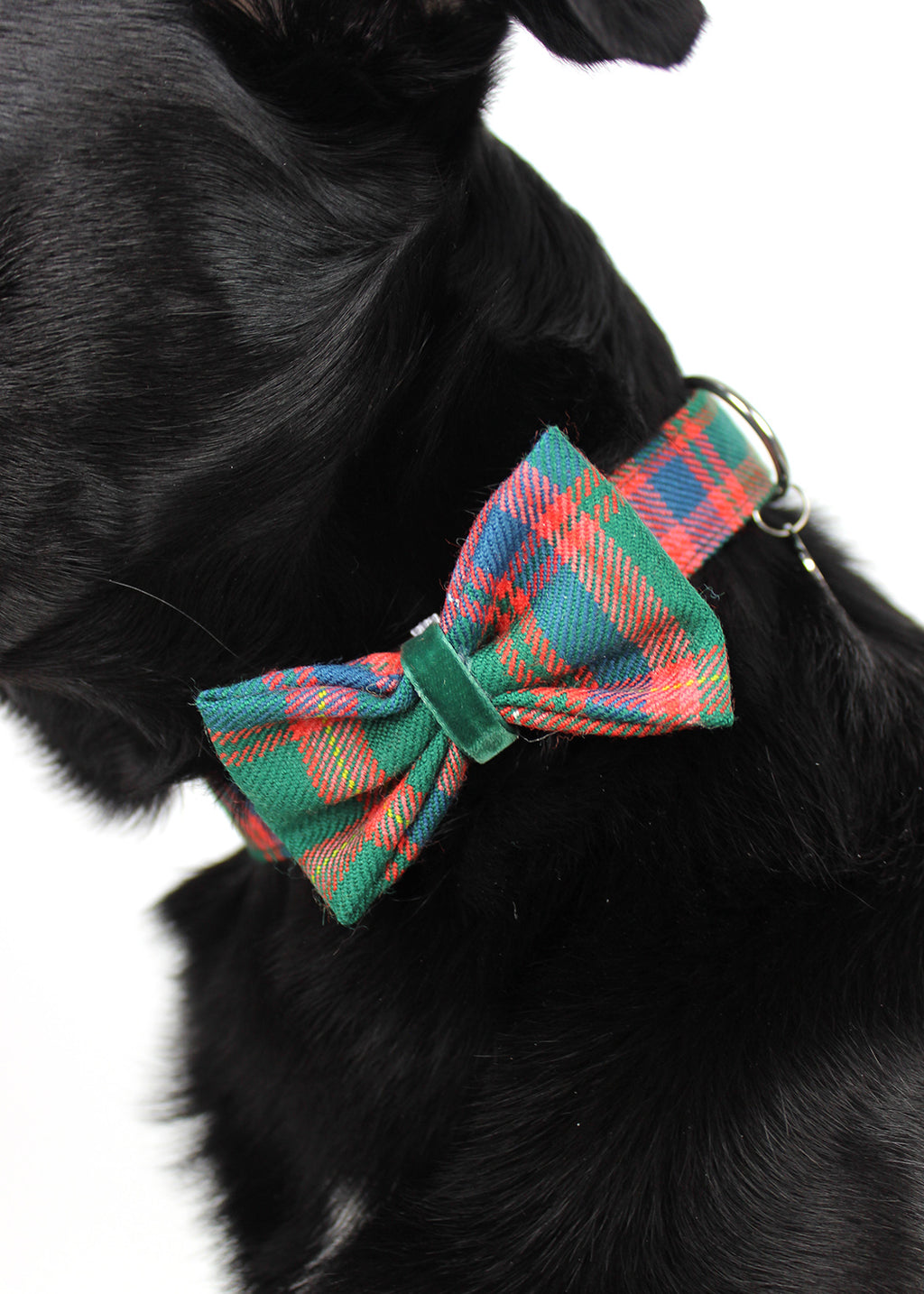 Dog Bow Tie Red Tartan