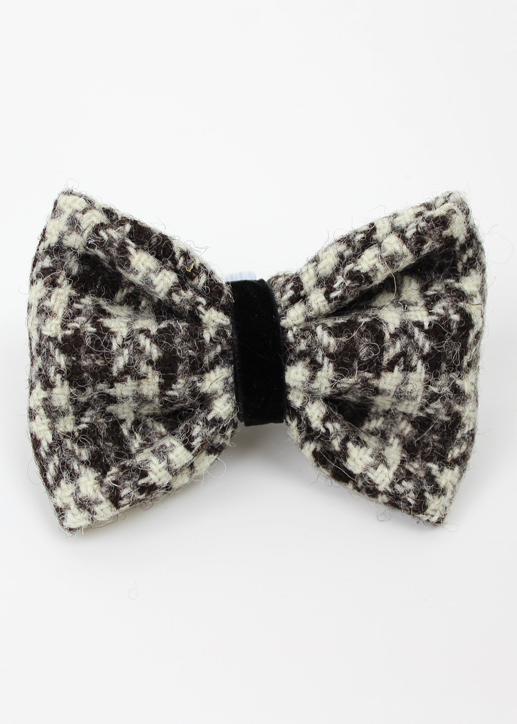 Dog Bow Tie Stornoway
