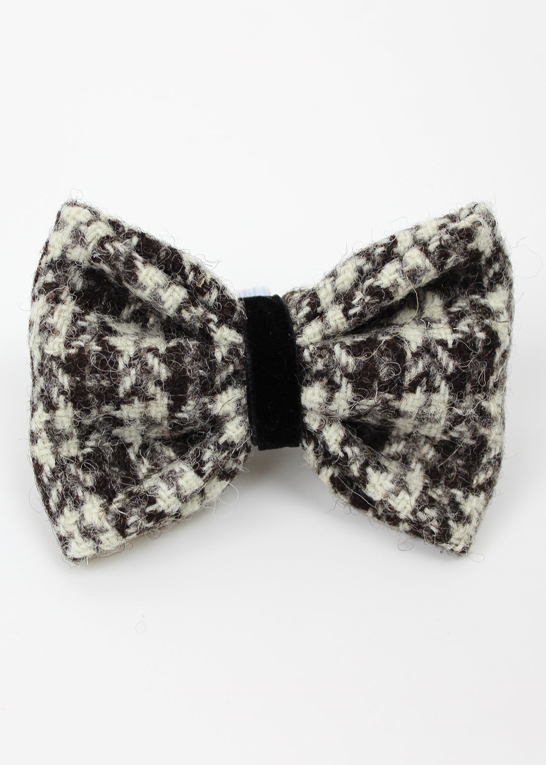 Dog Bow Tie Stornoway