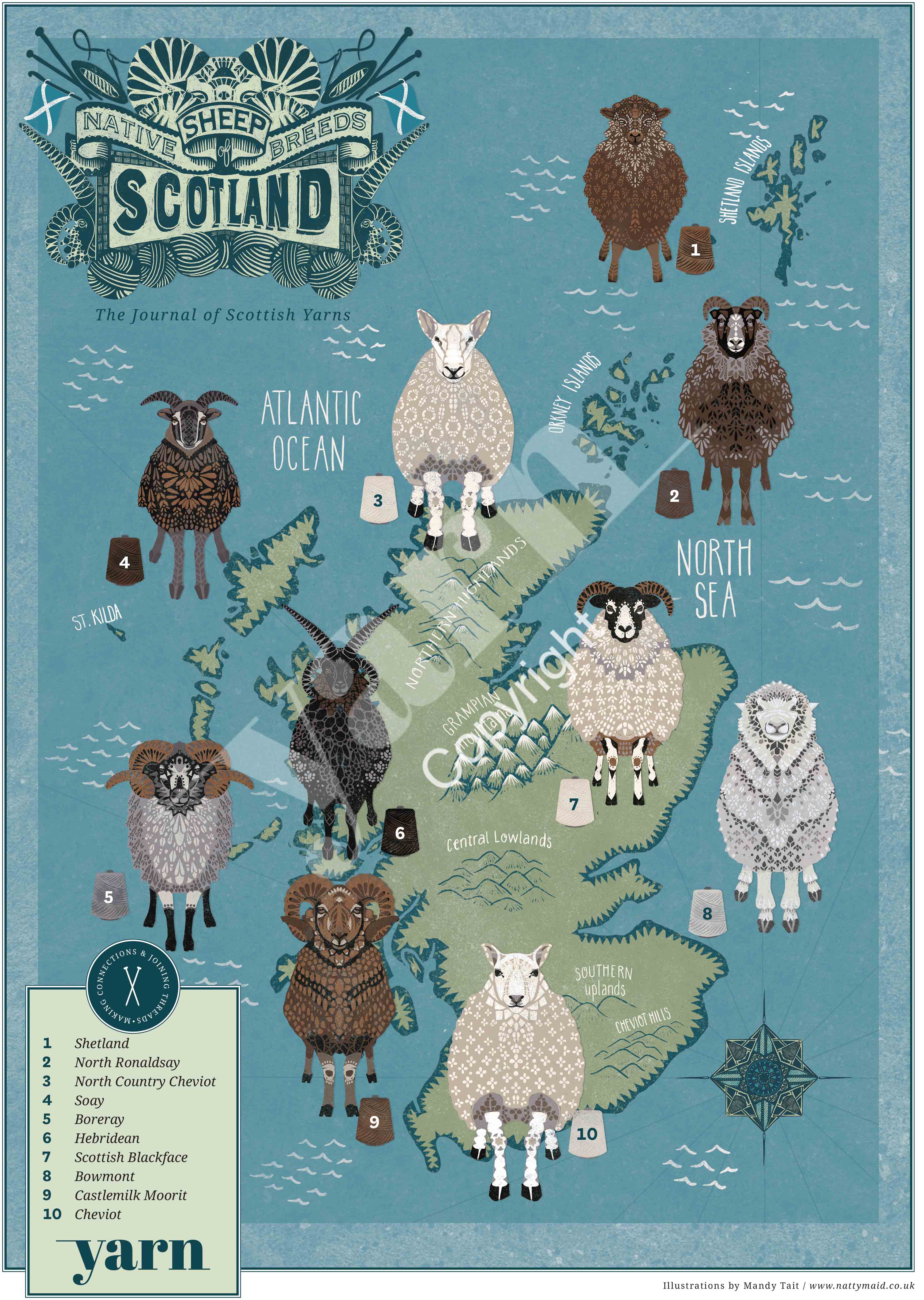 Scottish Native Sheep Map A3 Print
