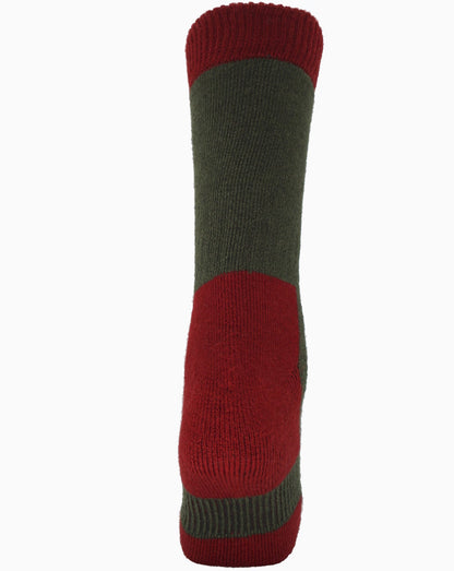 Socks Glen Spruce and Red
