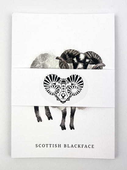 A set of 10 beautifully illustrated postcards featuring 10 native sheep breeds of Scotland.